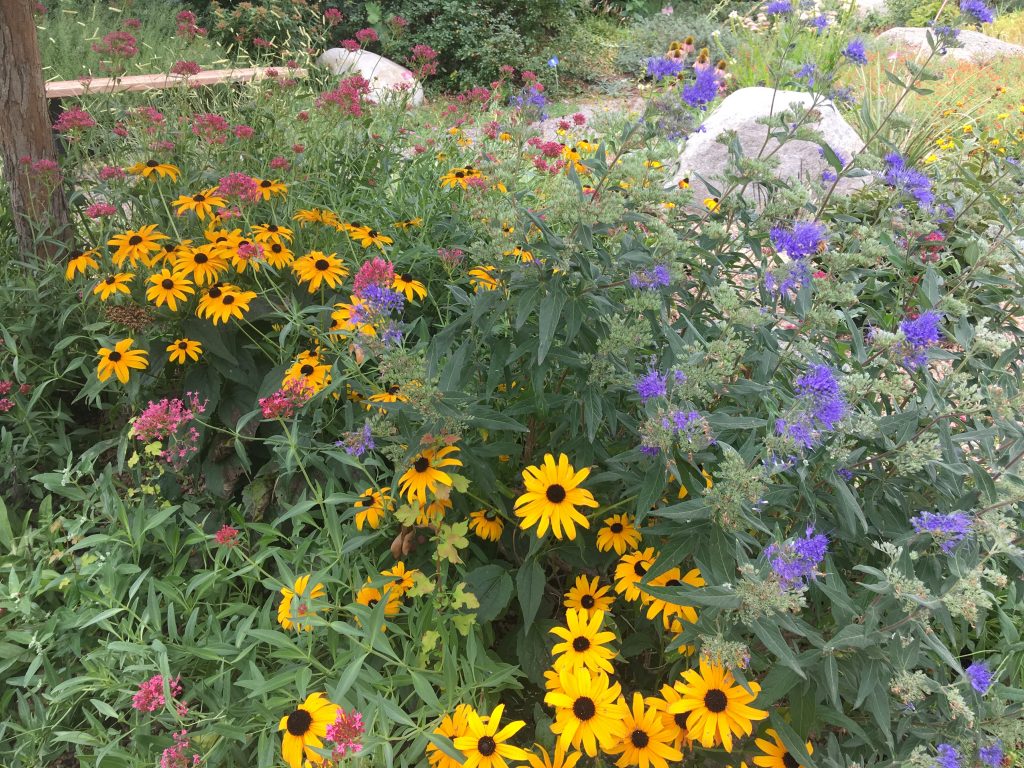 Demonstration Garden - Broomfield County Extension