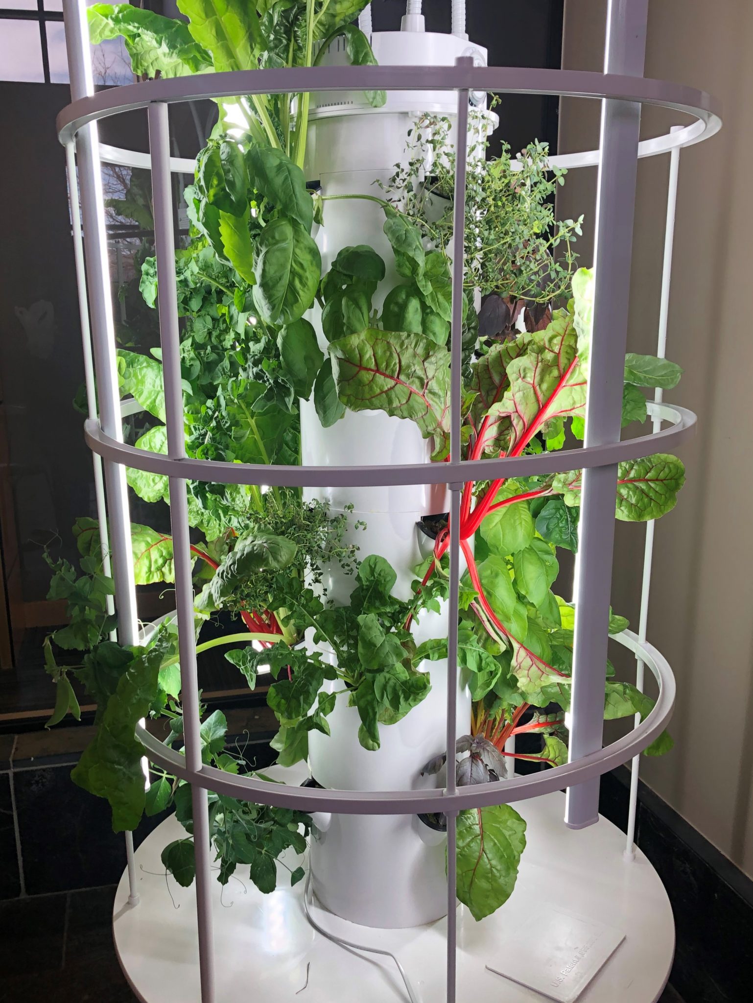 Vertical Aeroponic Garden - Broomfield County Extension