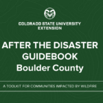 Disaster Guidebook Cover