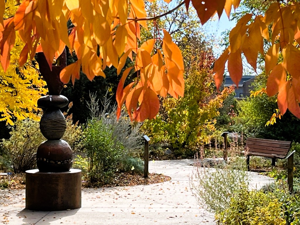 Fall foliage in Xeriscape Garden