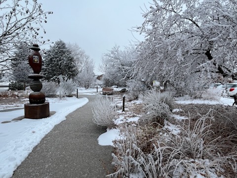Broomfield Xeriscape Demonstration Garden in winter